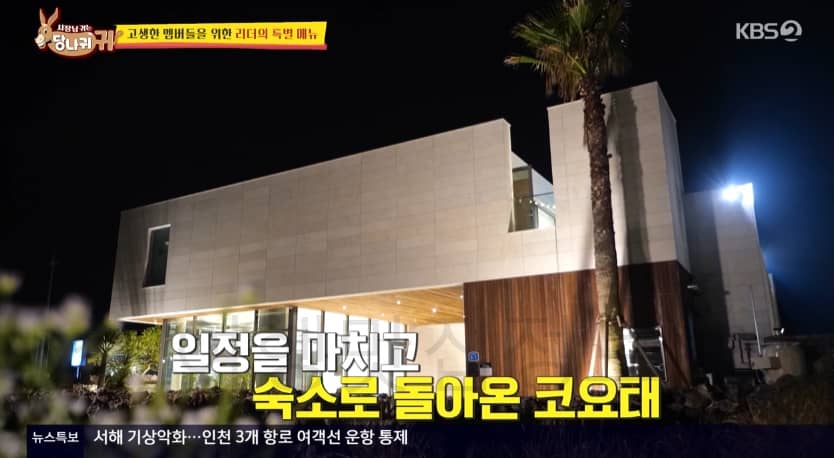 당나귀귀 코요태 제주도 숙소 보기(위치 연락처 예약)! 김종민 신지 빽가, 리더의 특별 메뉴, 수영장