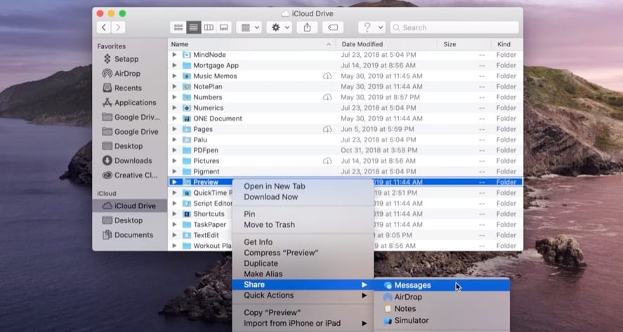 [Apple] 맥 OS 카탈리나 iCloud 폴더 공유 기능 연기