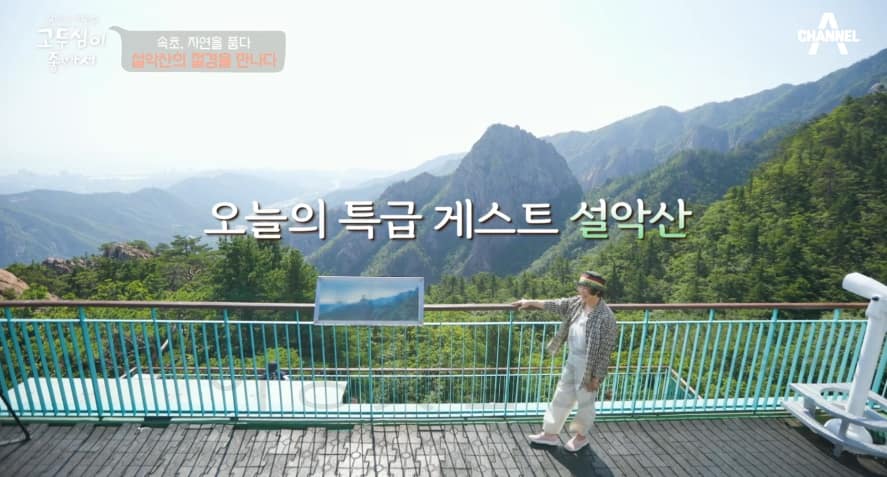 고두심이 좋아서 속초, 자연을 품다 촬영지 총정리 – 해천탕 보양식, 설악산 뷰 한옥 카페, 72년 전통 함흥냉면집, 500년 돌담길
