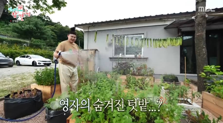 전지적참견시점 이영자 블루베리청 요거트, 제철과일 요구르트 레시피