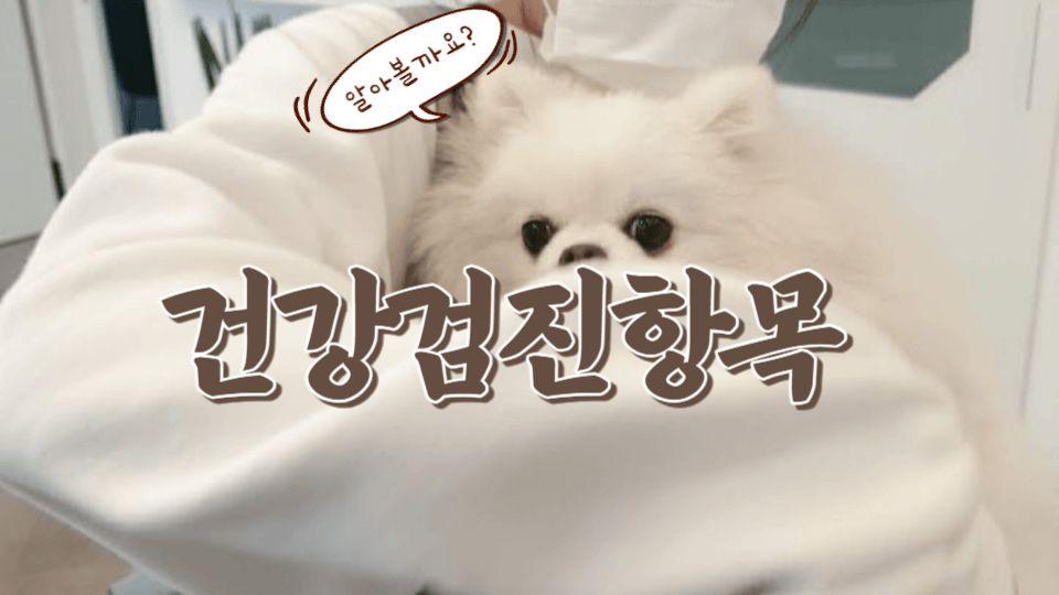 강아지 건강을 위한 필수 선택 : 반려견 건강 검진의 항목 정리