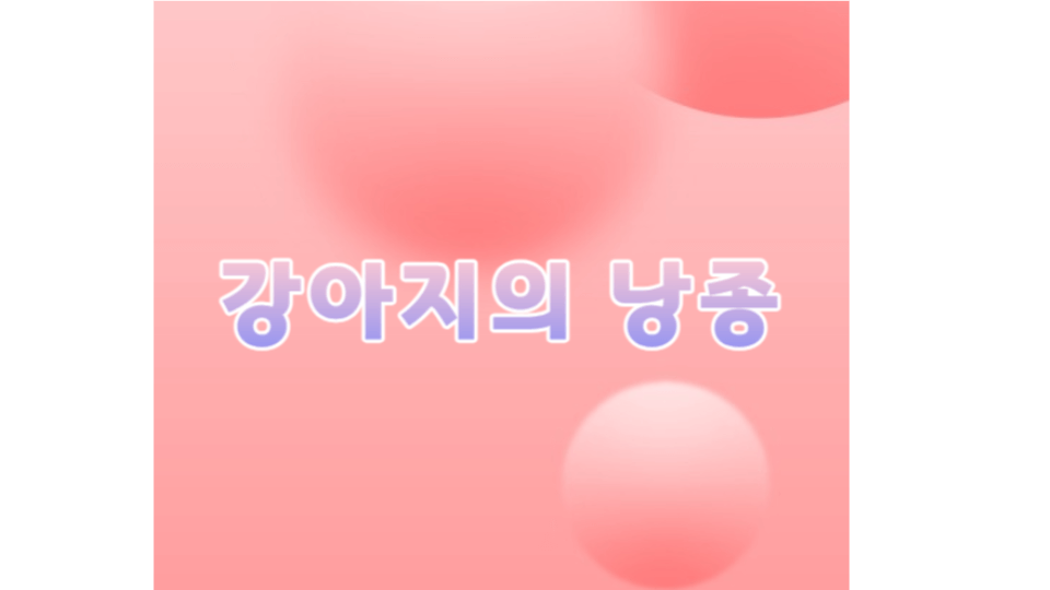 강아지 낭종에 대해 알아야 할 사항